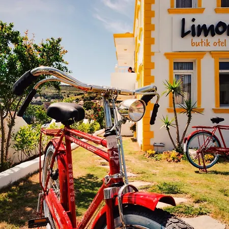 Limon 3*