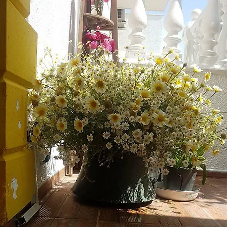 Limon Couette-café Foça
