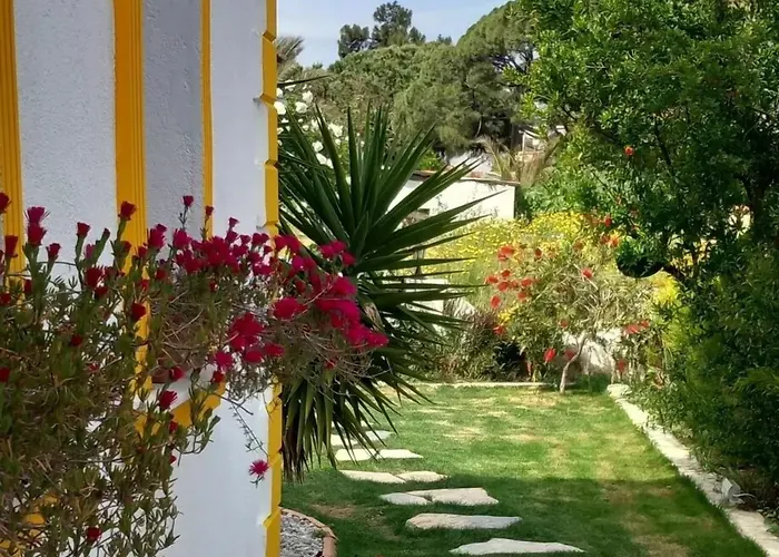 Bed & Breakfast Limon 3*