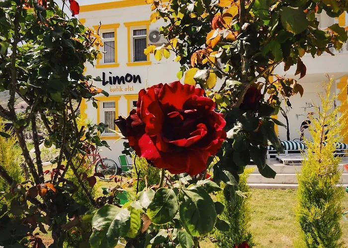 Bed & Breakfast Limon 3*