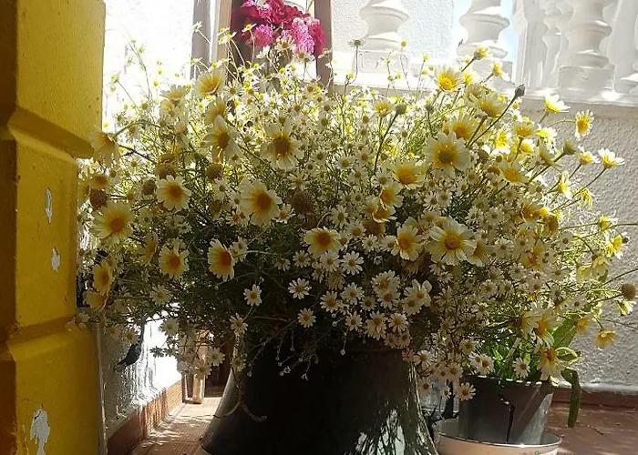 Limon Bed & Breakfast Foça