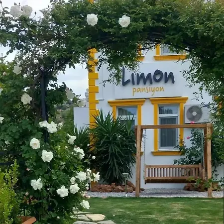 Limon פוצ'ה