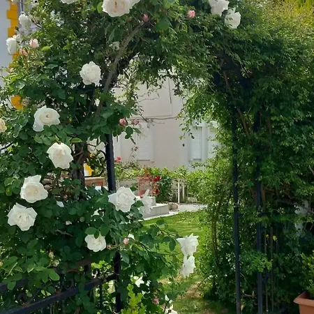 Limon