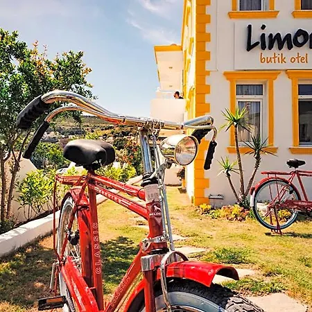 Limon לינה וארוחת בוקר פוצ'ה