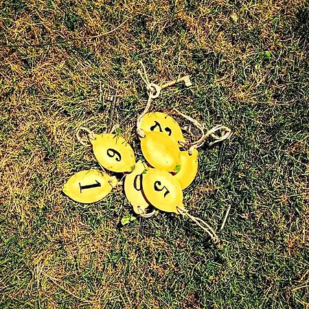 Limon 3*