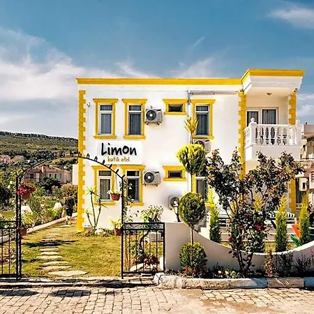 Limon