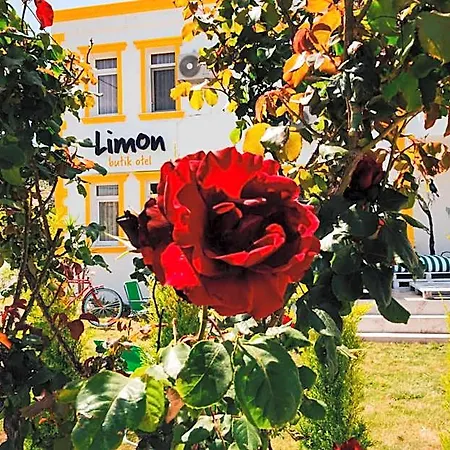 Limon 3*
