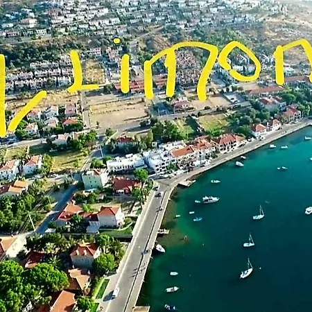 Limon 3*