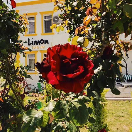 Bed & Breakfast Limon 3*
