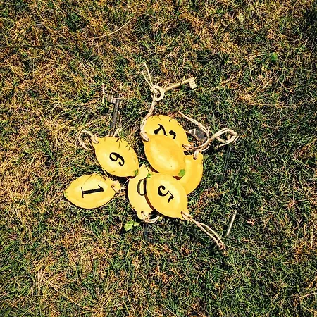 לינה וארוחת בוקר Limon פוצ'ה