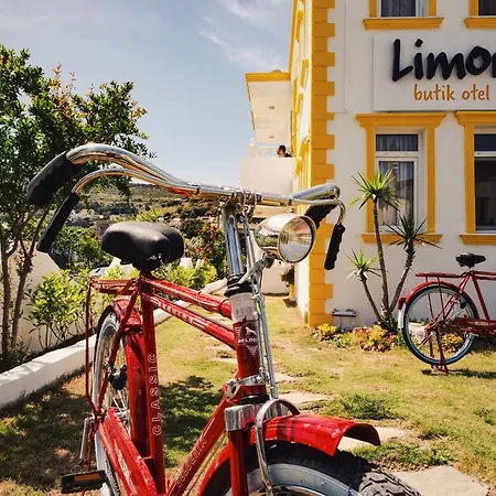Bed & Breakfast Limon
