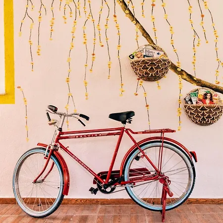 Bed & Breakfast Limon Foca